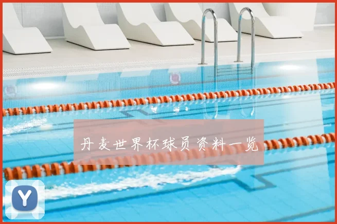 丹麦世界杯球员资料一览